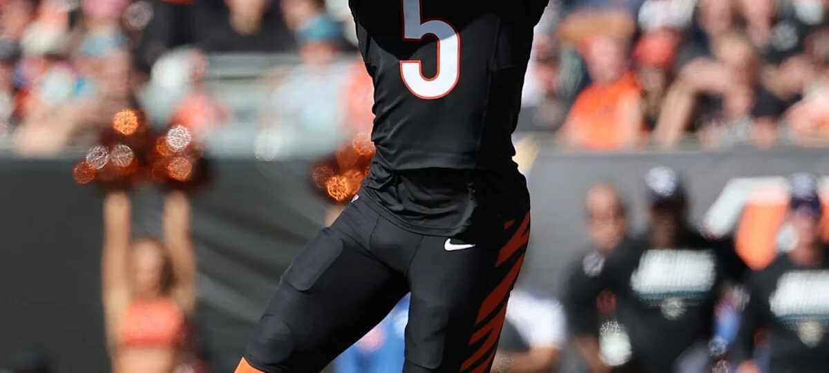 Tee Higgins good for just two catches