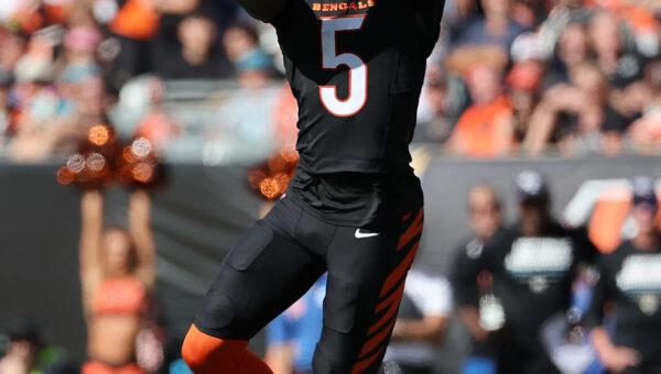 Tee Higgins good for just two catches