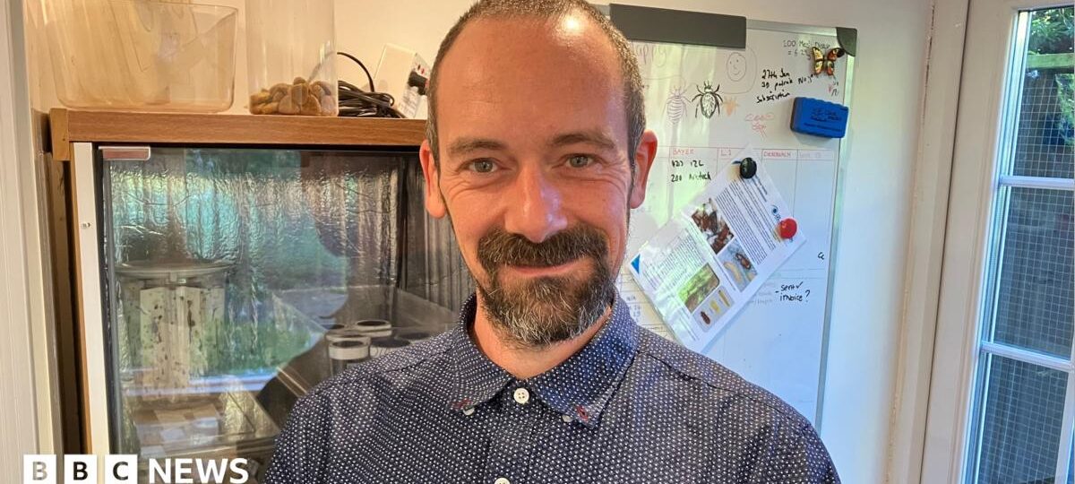 'They don't bother me at all': The man who chooses to sleep with bedbugs for science