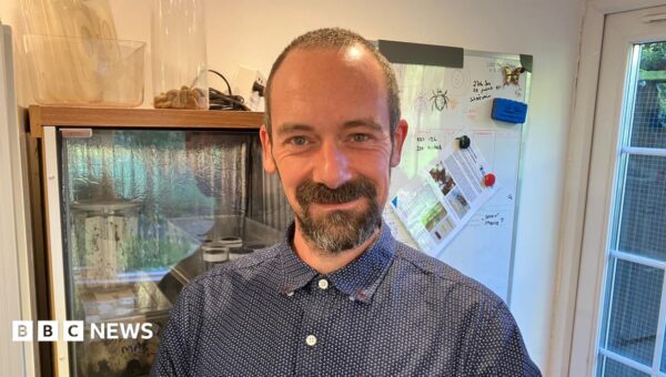 ‘They don’t bother me at all’: The man who chooses to sleep with bedbugs for science