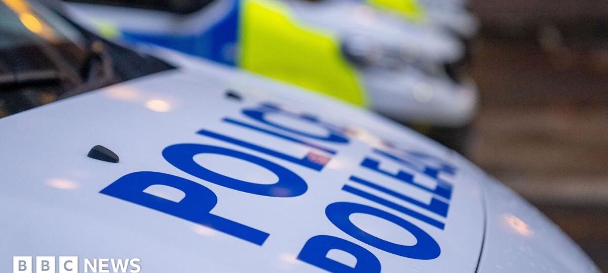 Boy, 16, and 80-year-old man die in light aircraft crash near Loch Lomond