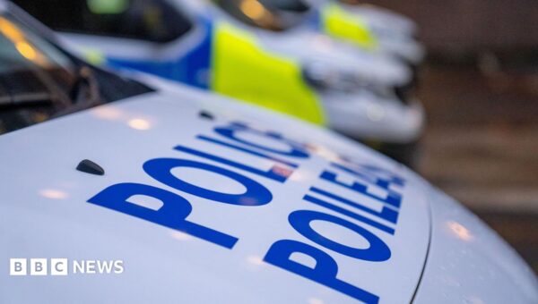 Boy, 16, and 80-year-old man die in light aircraft crash near Loch Lomond