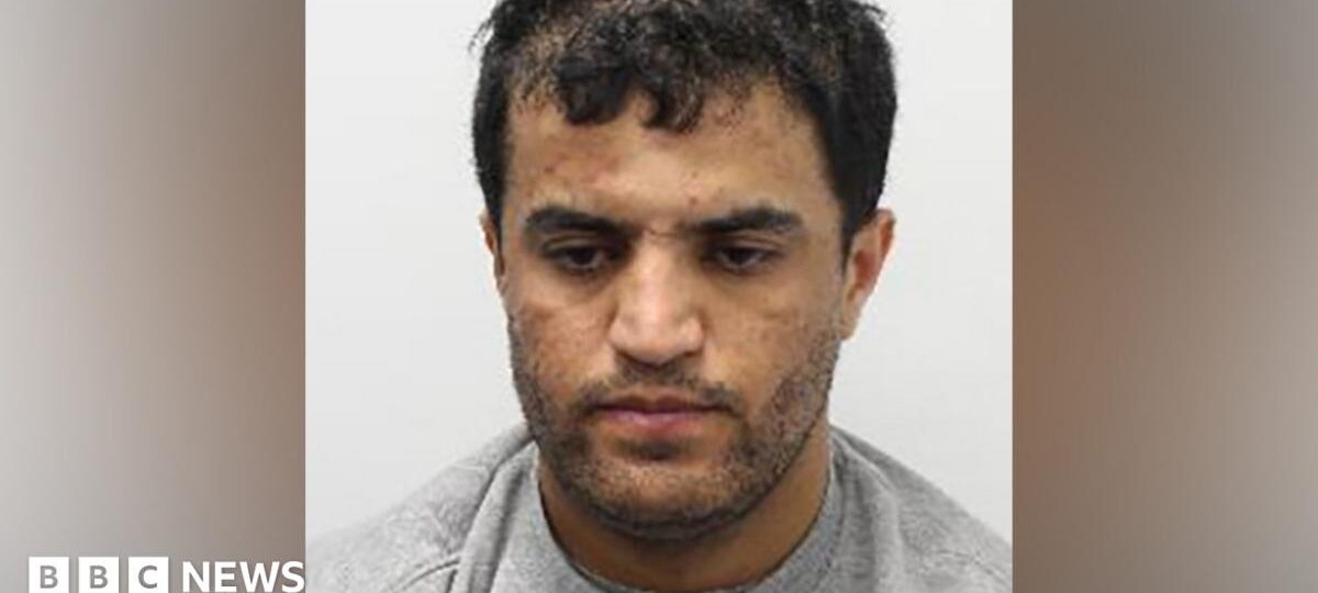 Man detained for stabbing dog walker to death