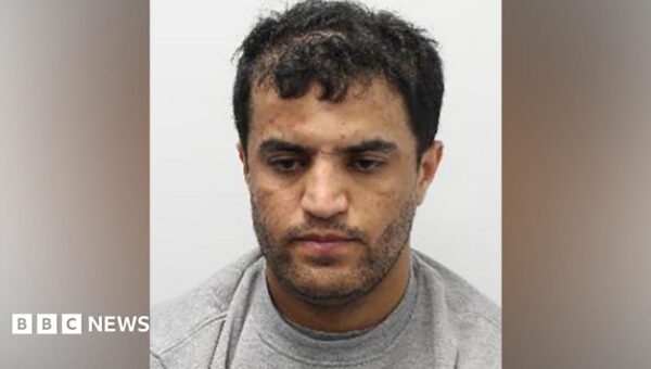 Man detained for stabbing dog walker to death