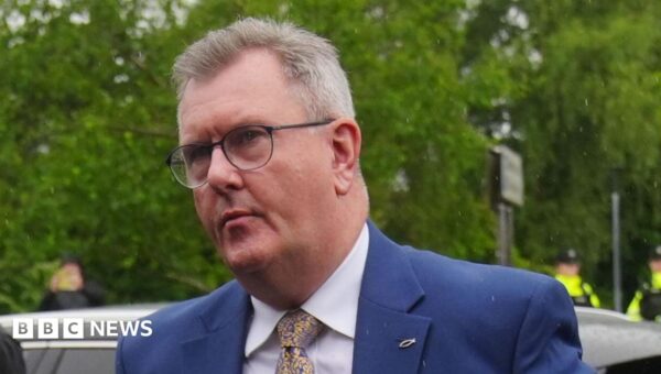 Jailed former DUP leader Jeffrey Donaldson being investigated over alleged rape inside Westminster