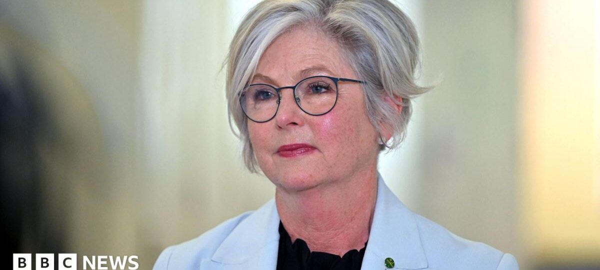 Australian MP critically injured after being hit by car in apparent attack