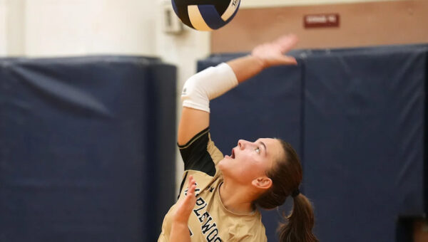 District 10 announces the girls volleyball playoff brackets