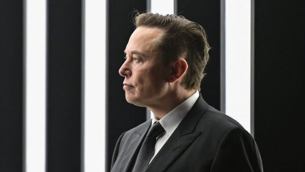 Elon Musk takes a dig at Waymo's pet collision history and says Tesla Robotaxi has a solution