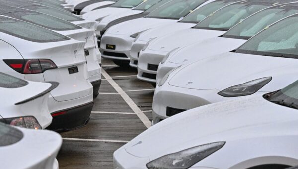 Tesla sustains its EV sales momentum despite US troubles