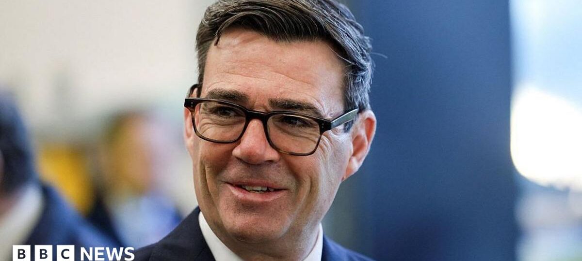 Burnham rules out early general election in next 12 months