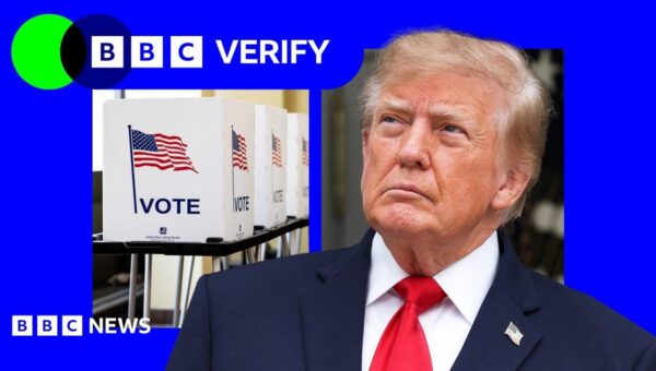 Trump says US voter fraud is ‘rampant’ – evidence suggests it is extremely rare