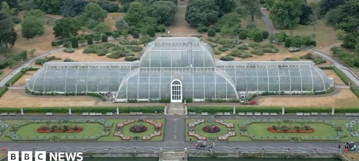 Watch: Moving 1,300 plants for Kew's Palm House mega makeover