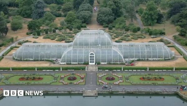 Watch: Moving 1,300 plants for Kew’s Palm House mega makeover