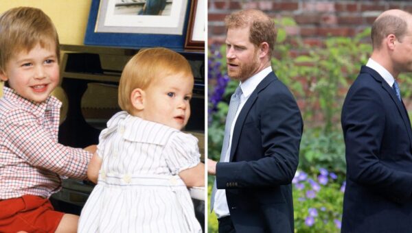 Photos show how Prince Harry and Prince William’s relationship has changed through the years