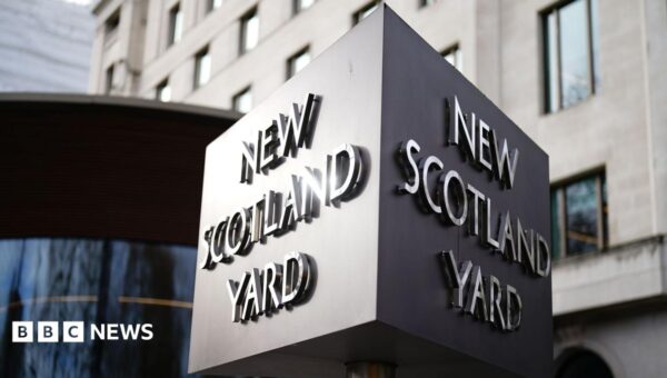 No further action against government adviser's wife over Palestine Action post, police say