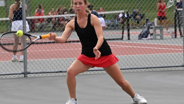 Shelby’s Howarth, Lexington’s Remy, Parks win sectional tennis titles