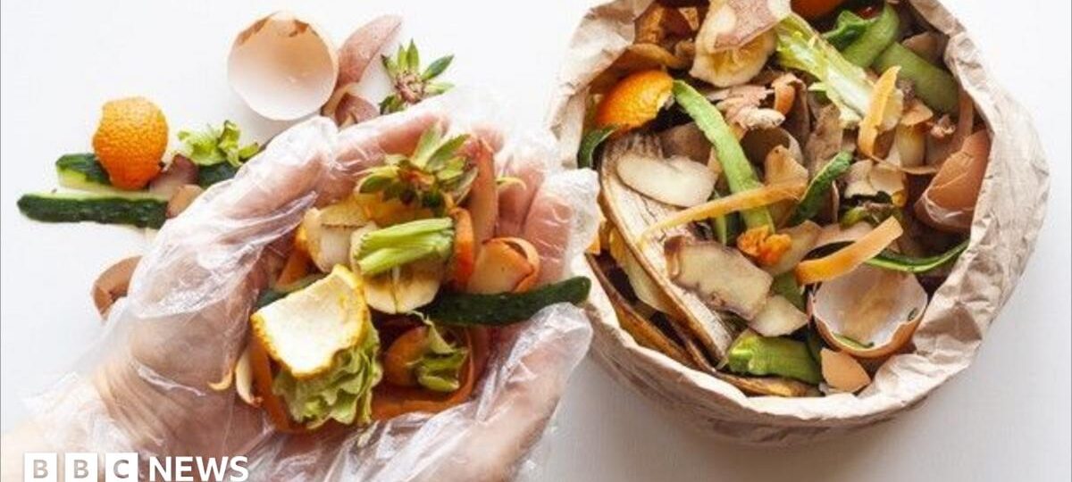 Biggest fibre boost could be scraps in your bin, experts say