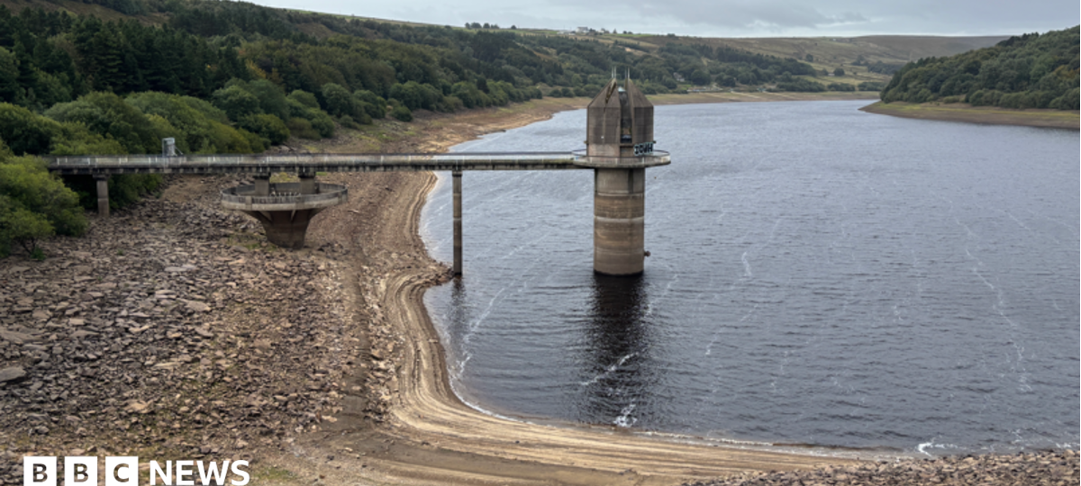 Drought declared in Yorkshire after dry weather