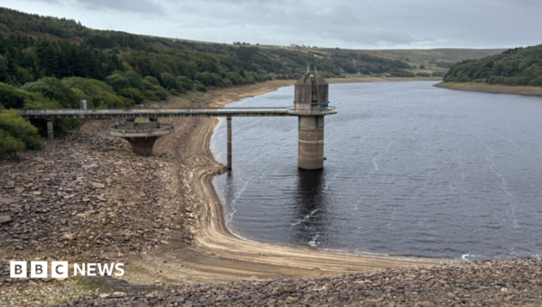 Drought declared in Yorkshire after dry weather