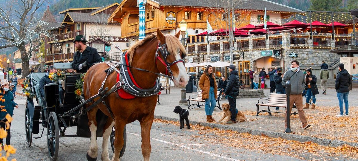 I’ve been to 3 Bavarian-style villages in the US. They’re charming, but just one made me feel like I was in Germany.