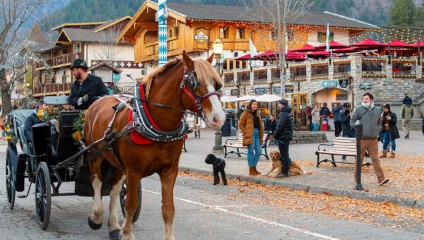 I’ve been to 3 Bavarian-style villages in the US. They’re charming, but just one made me feel like I was in Germany.