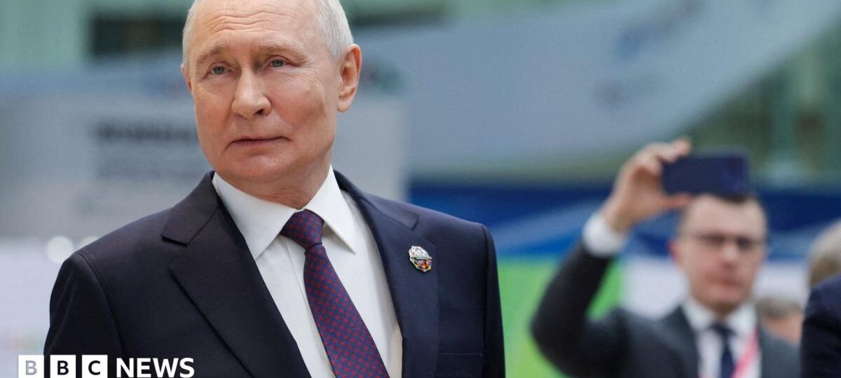 Elon Musk is a 'real genius', Putin says after satellite talks with SpaceX boss