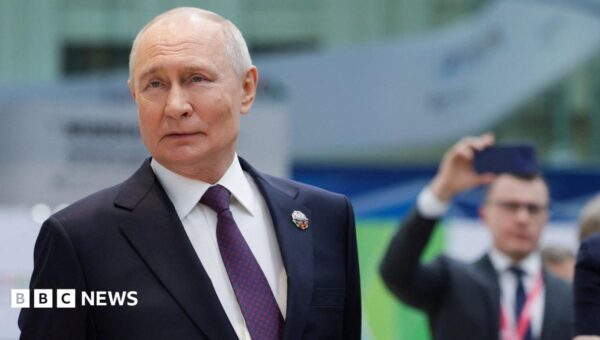 Elon Musk is a ‘real genius’, Putin says after satellite talks with SpaceX boss
