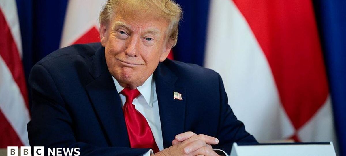 Trump's AI rebrand causes 'unprecedented' demand for Slovenian website names
