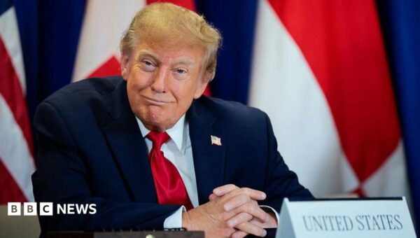 Trump’s AI rebrand causes ‘unprecedented’ demand for Slovenian website names