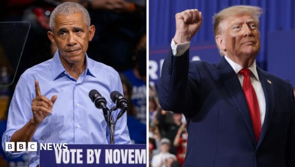 Trump vs Obama – which president has the star power to get out the vote?