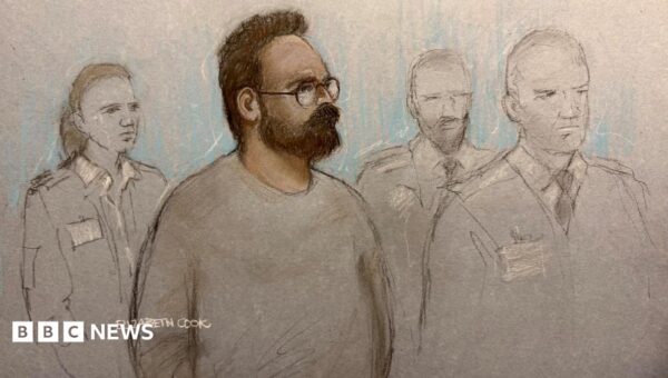 Widdecombe suspect had ‘particular hostility to Reform’, court told