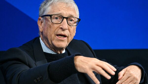 Bill Gates predicts 20 years of turmoil before AI creates 'true abundance'