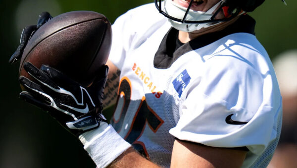 Bengals to sign tight end off Vikings’ practice squad, per report