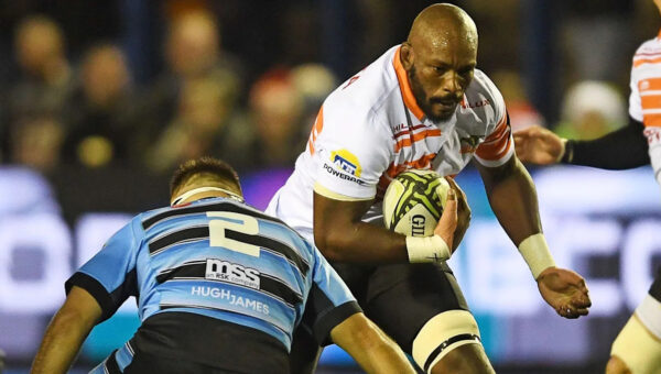 Cheetahs to play European games in Swansea