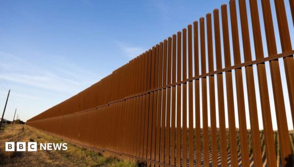 Five ways Trump has changed immigration in the US