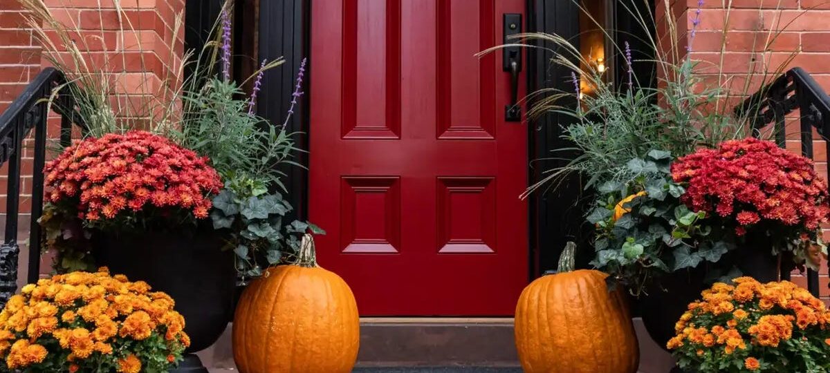 Your official guide to cozying up for fall