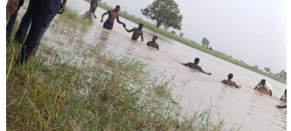 One child rescued, another missing after river incident in Yobe