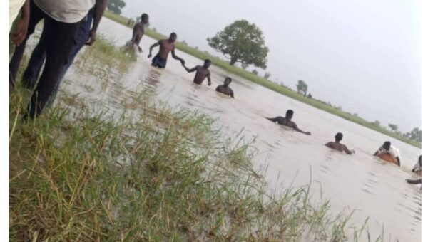 One child rescued, another missing after river incident in Yobe