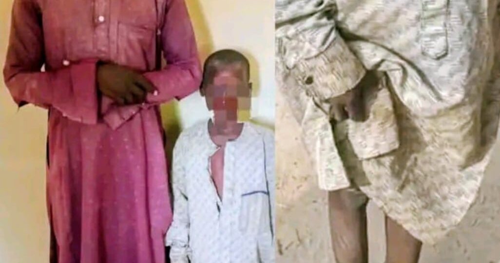 Yobe CP orders probe into alleged murder, child cruelty
