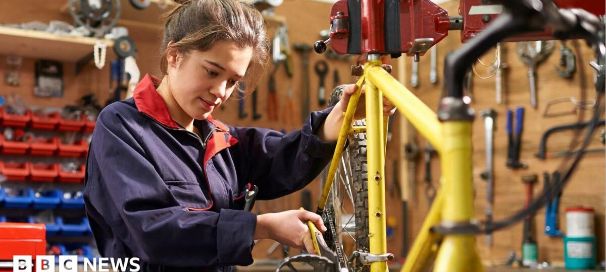 Greens would offer two-year jobs to unemployed under-24s