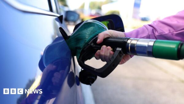 Trump faces growing backlash over plans to import diesel from Russia