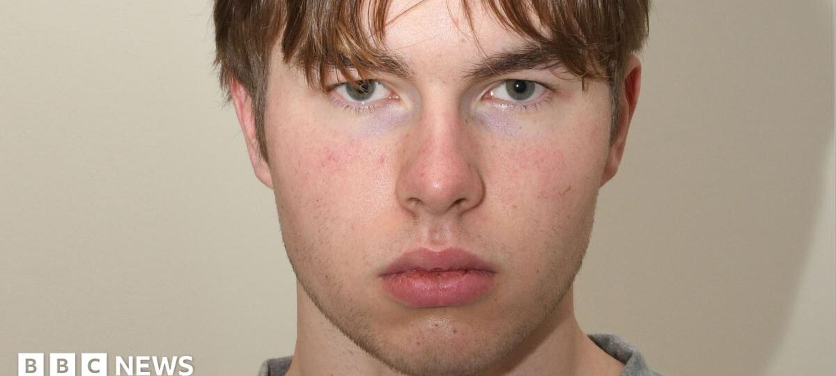 Norwegian teen 'hitman' detained for UK murder plot
