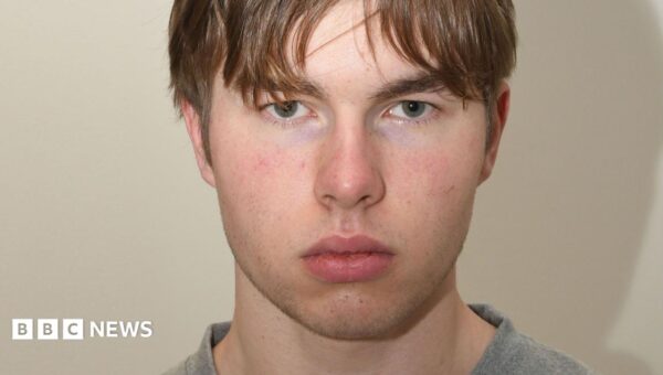 Norwegian teen 'hitman' detained for UK murder plot