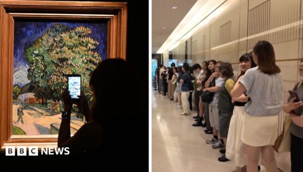 Watch: Hong Kong crowds queue to see Van Gogh painting unveiled for first time in 60 years