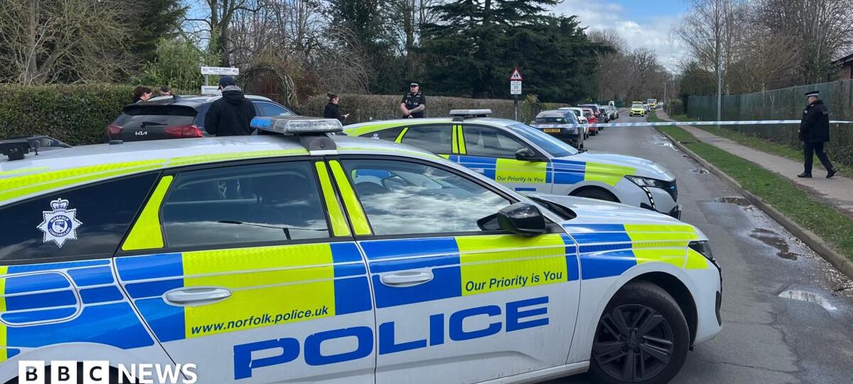 Schoolboy knife attacker texted 'sorry' to mum