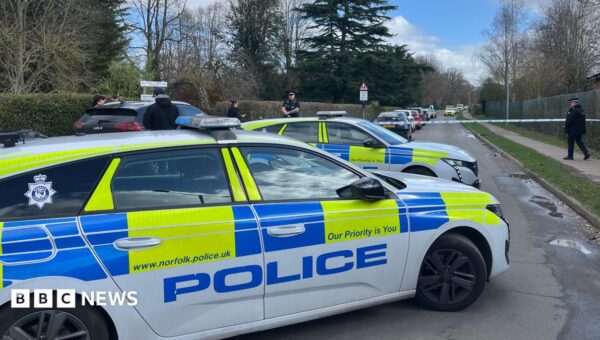Schoolboy knife attacker texted 'sorry' to mum
