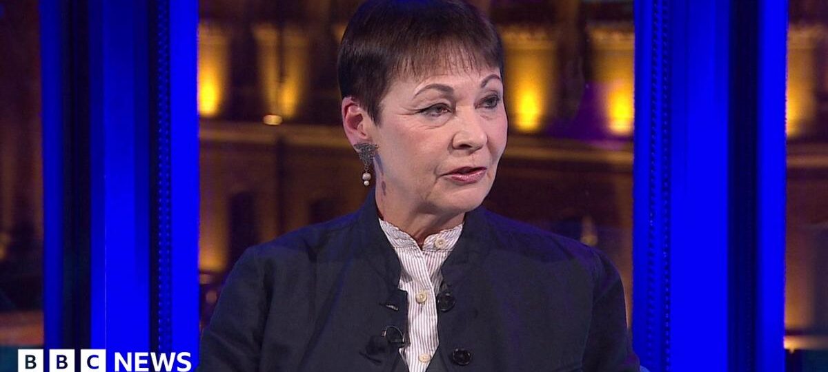 Polanski failed to show leadership over Zionism motion, ex-Green leader says
