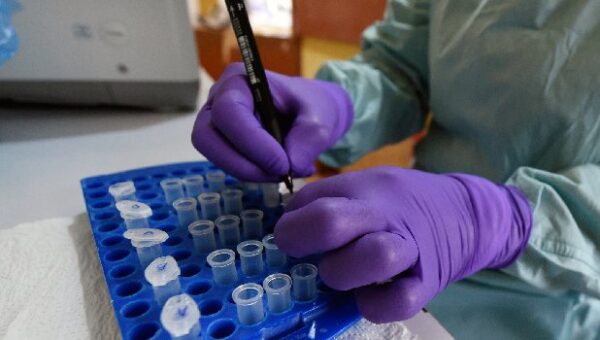 Ebola Vaccine Trial Begins In DR Congo – WHO Chief
