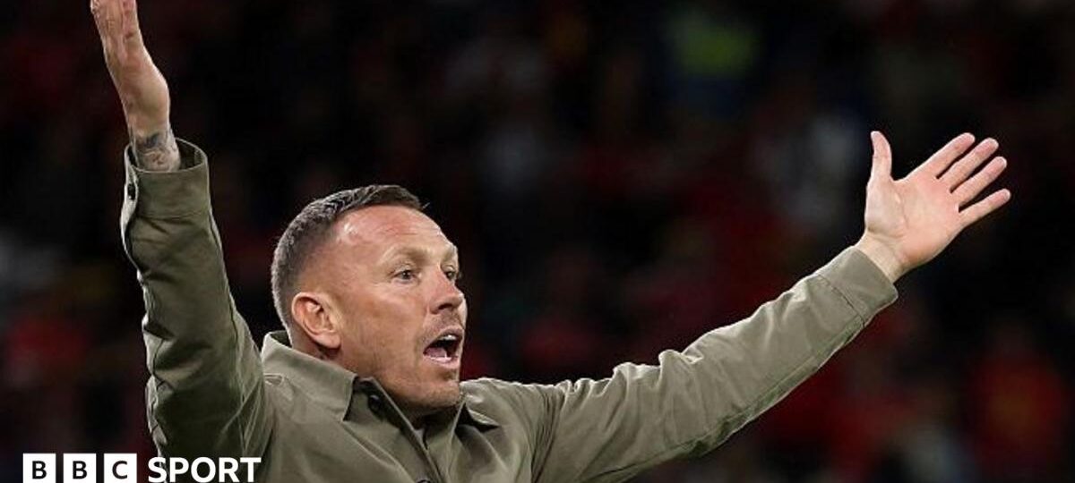 Bellamy bemoans new schedule after Denmark loss