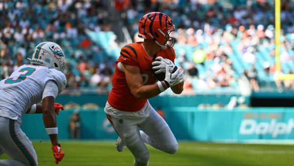 Bengals TE Tanner Hudson to miss rest of season with torn pectoral